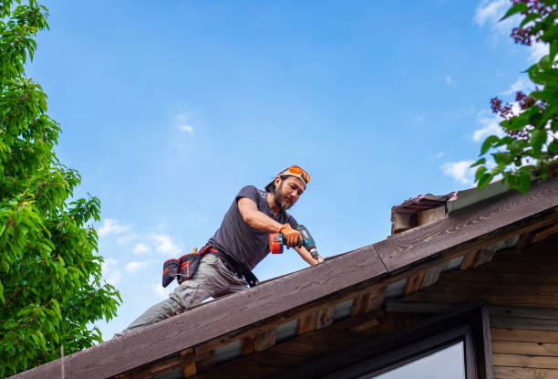 Best Asphalt Shingle Roofing  in Union Point, GA